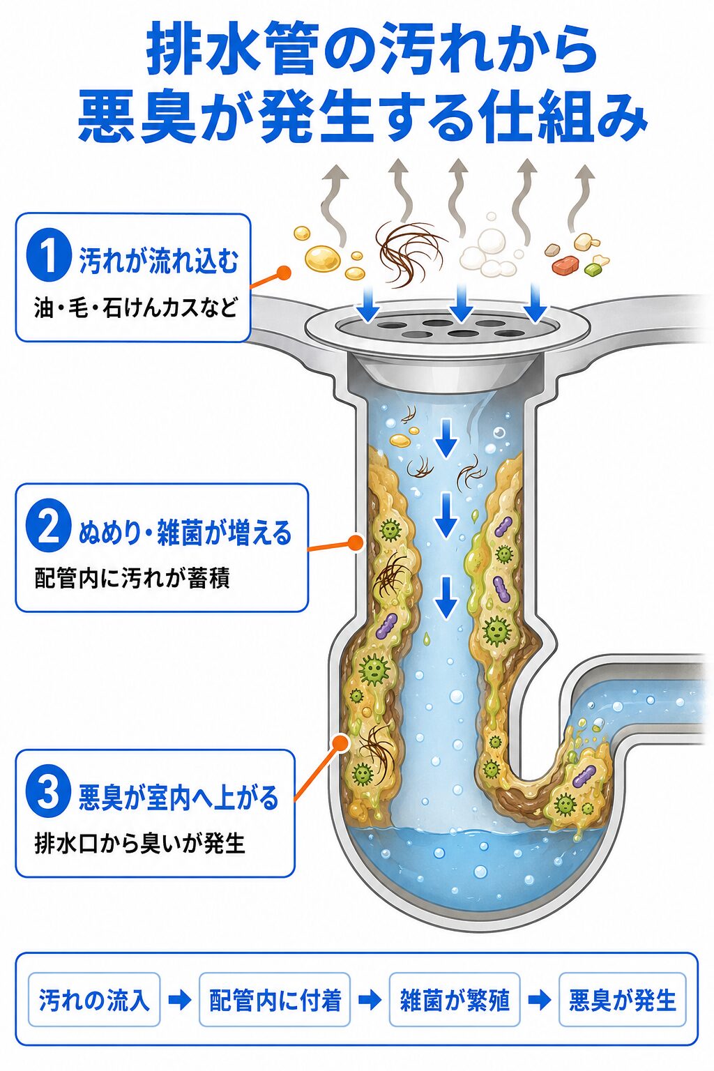 排水管の汚れが臭いを発生させる仕組み